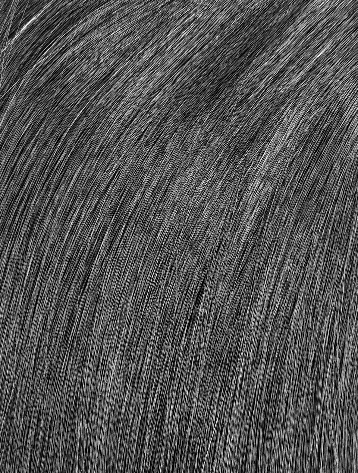 MISS BOSS CEO 100% VIRGIN WEFT 100G #1B