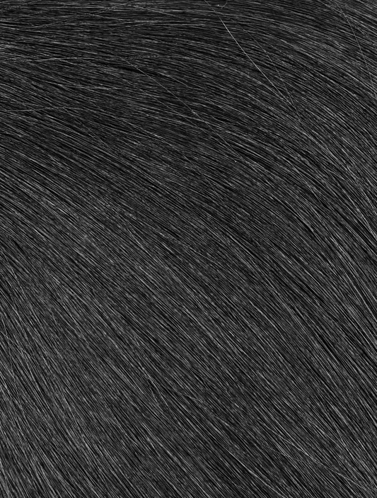MISS BOSS REMY TOPLINE TAPE-IN 100G #1