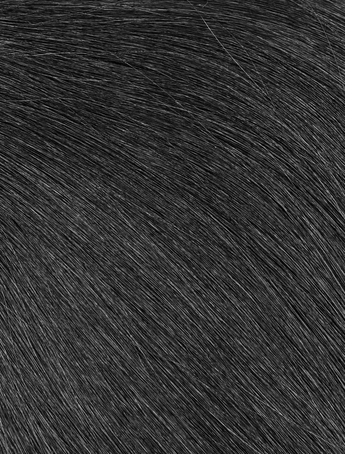 MISS BOSS REMY TOPLINE WEFT 100G #1